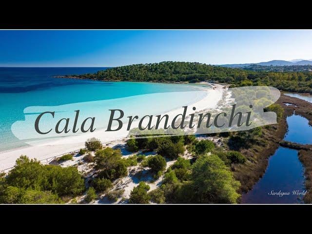 Spiaggia di Cala Brandinchi [ 5K ] Sardegna World by drone