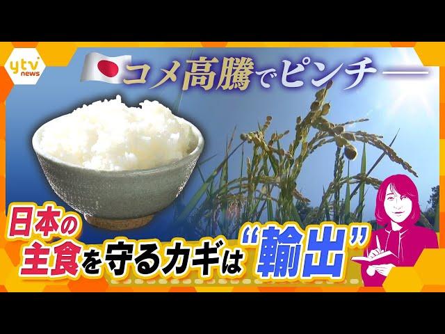 【ヨコスカ解説】日本の米を世界へ　物価高、円安のピンチをチャンスへ　主食を守るカギは「輸出」