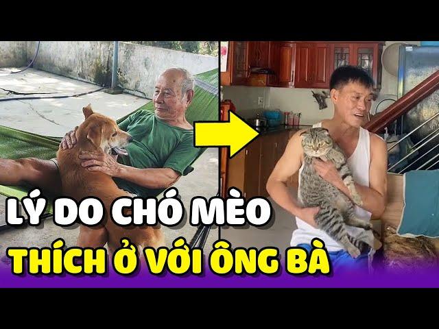 Lí do các bé Chó Mèo thích ở với ông bà hơn là ở với Sen  | Yêu Lu Official