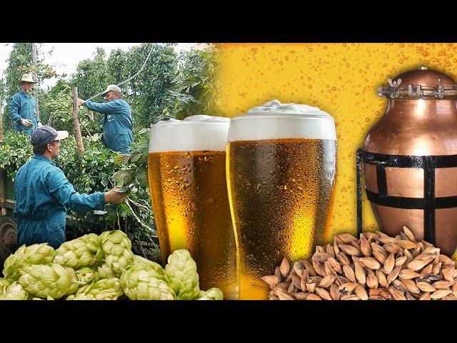 Beer. Traditional process of making this drink | Lost Trades | Documentary film