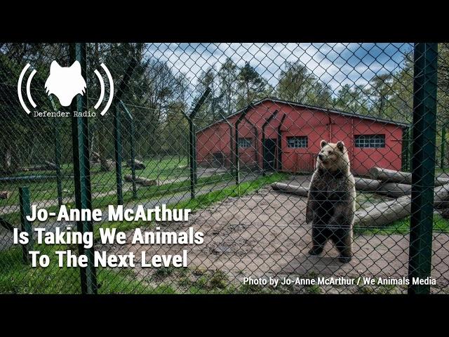 Jo-Anne McArthur Is Taking We Animals To The Next Level