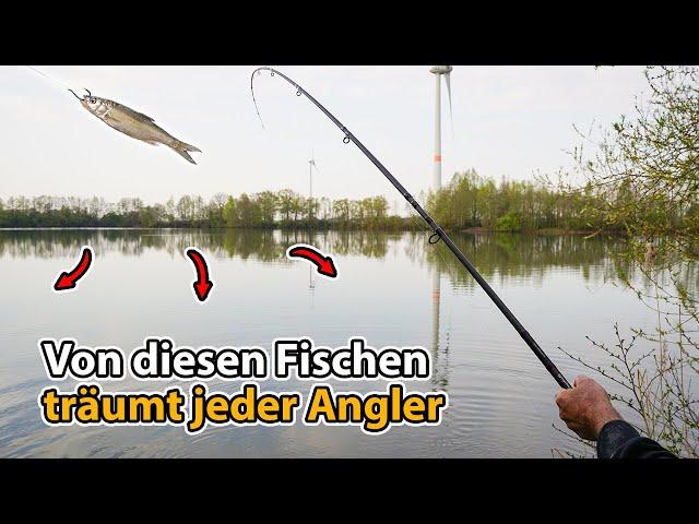 Was beißt im Bestiensee auf Köderfisch? (Fleischfresser schnappen zu)