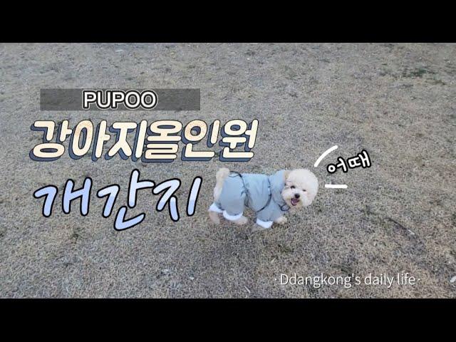 개간지 | 강아지패딩 올인원 PUP00 우주패딩