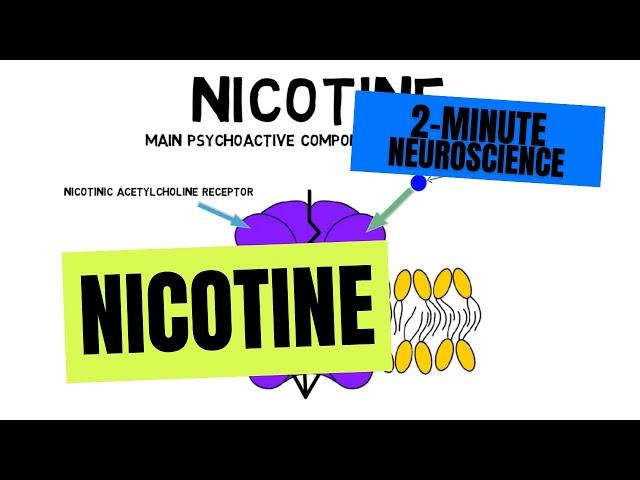 2-Minute Neuroscience: Nicotine