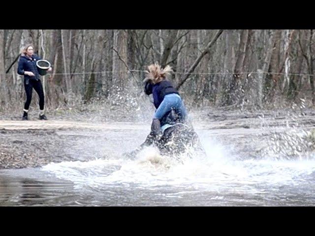 Gefährliches Pferdetraining auf Hof Eicheneck - Fall Camelot Teil 2