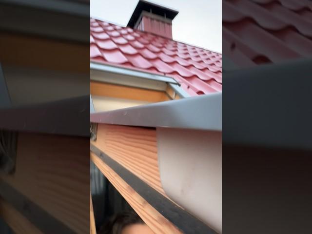 ЭТИ ТРЕЛИ ПТИЧЬИ)) #деревня #жизньвдеревне #деревенскаяжизнь
