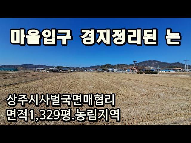 (1034)상주시 사벌국면 매협리. 마을입구 경지정리된 논 1329평. 매매가1억9천만원. 농림지역