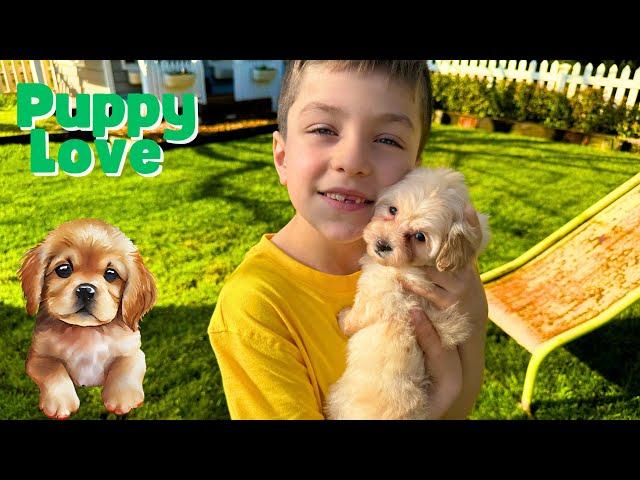 Oliver and Lucas Pet the Cutest Animals in the World  Cute Puppies   Educational Videos for Kids