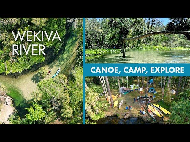 Wekiva River - Canoe from Kings Landing, Wilderness Camping, Excellent Adventure, Go Off The Grid