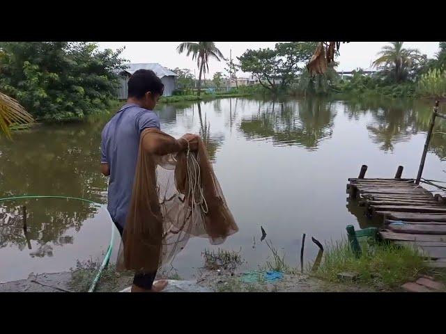 Amazing Fishing I fishingboy life।। Amazing net fishing #netfishing