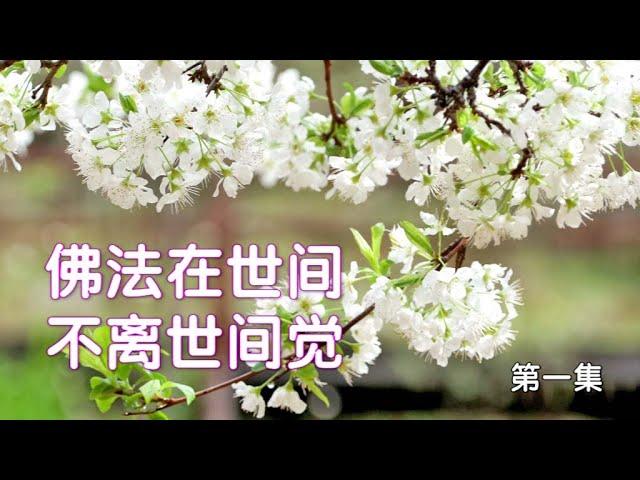 佛法在世间  不离世间觉     第一集   ~全 芳  著     [唯佛宗世界人乘佛教]