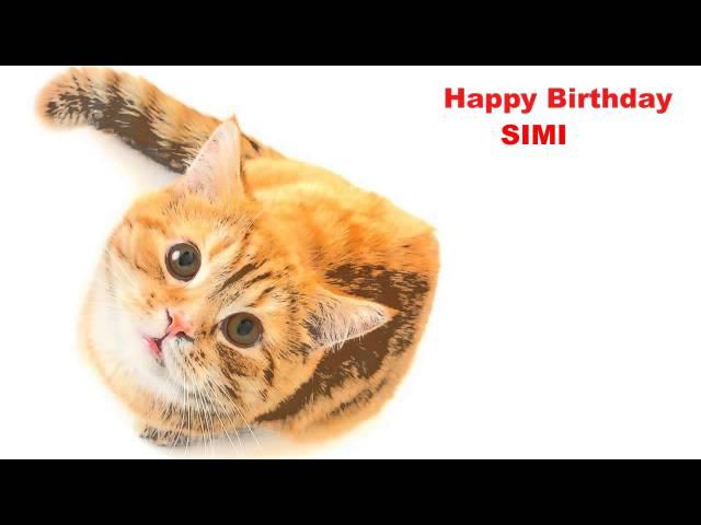 Simi  Cats Gatos - Happy Birthday