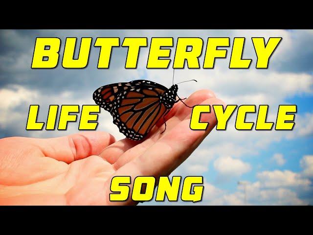 BUTTERFLY LIFE CYCLE SONG | egg, caterpillar, chrysalis, butterfly