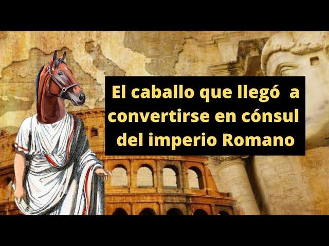 Incitatus, el caballo de Calígula que vivía mejor que tú