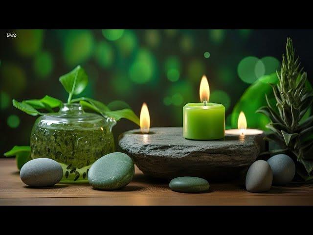 "Instant Relief From Anxiety & Stress" Detox Negative Emotions - Calm Nature Healing Sleep Music