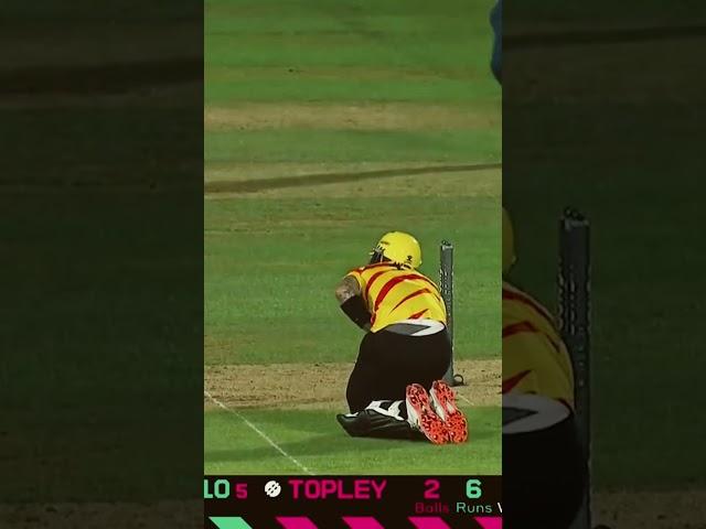 Alex Hales hit on the abdomen