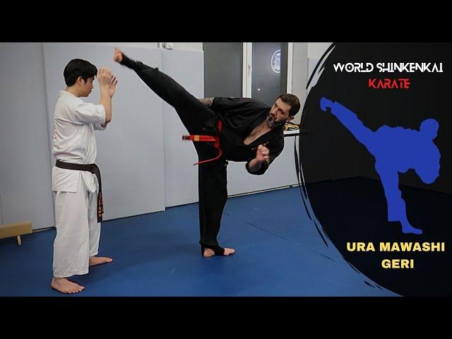 USHIRO MAWASHI GERI