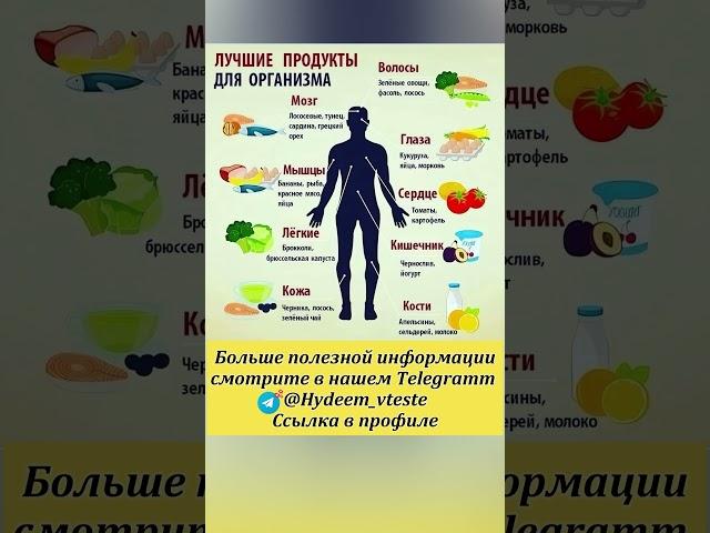 Лучшие продукты для организма