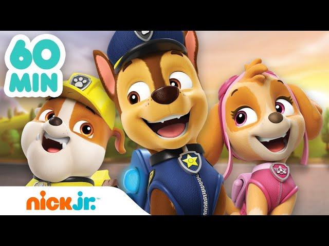 Paw Patrol - La Squadra dei Cuccioli | Tutto il meglio della PAW Patrol in 1 ORA! | Nick Jr.