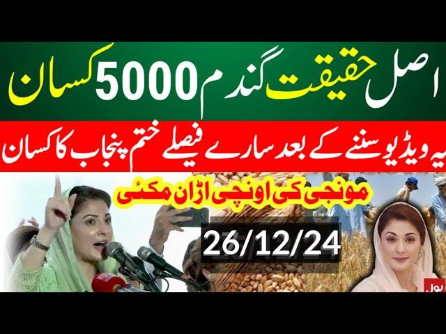 Big گندم میں اچانک اضافہ  Wheat price in punjab/گندم  کا ریٹ 2024/ makki till sarso/Gallasuper munji