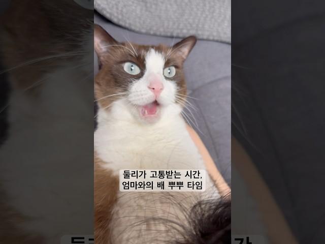 둘리가 고통받는 유일한 시간, 뿌뿌타임