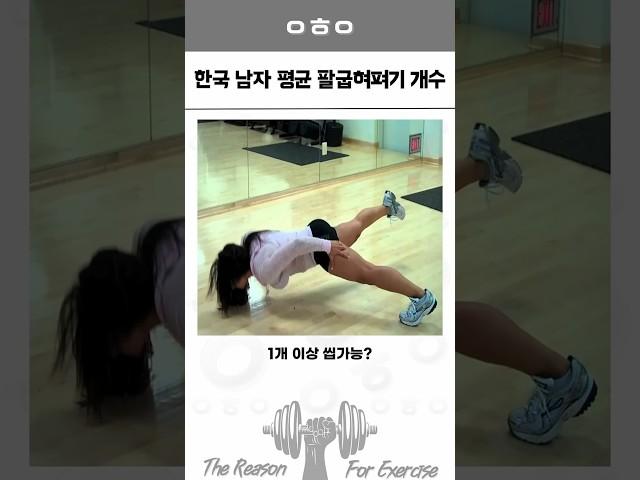 한국 성인 남자 푸쉬업 평균은 얼마나 될까