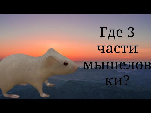 Где находятся в симуляторе мыши 3 мышеловки?