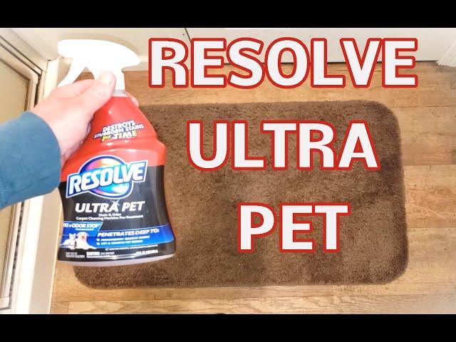 Resolve Ultra Pet Odor and Stain Remover Spray , did a good job