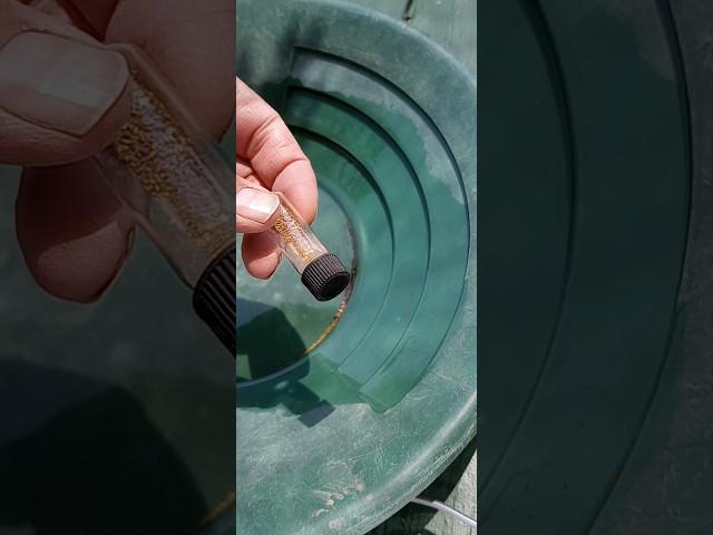 DIY Magnetic Gold Recovery Separation