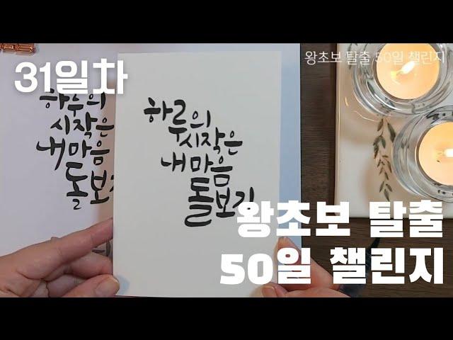 31일차 / 하루의 시작은 내 마음 돌보기 / 캘리그라피 기초 배우기