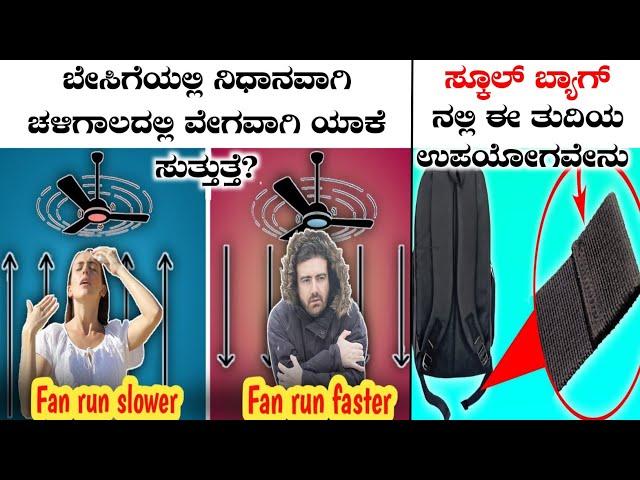 Top Interesting And Unknown Facts In Kannada|Rj Facts In Kannada