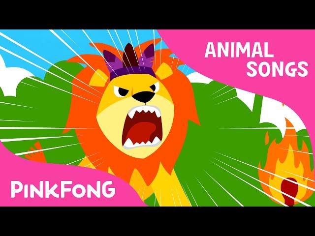 The Lion | Animal Songs | PINKFONG Songs for Children