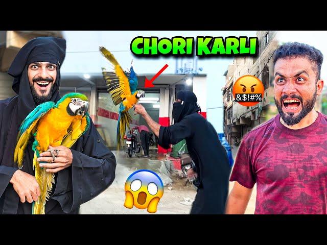 USAMA KA 4 LAKH KA PARROT CHORI KARLI | MISHKAT KHAN VLOG