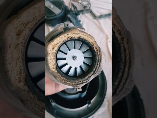 cleaning a vacuum cleaner #ytshorts #diy