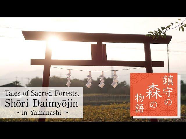 Tales of Sacred Forests:  Shōri Daimyōjin in Yamanashi.