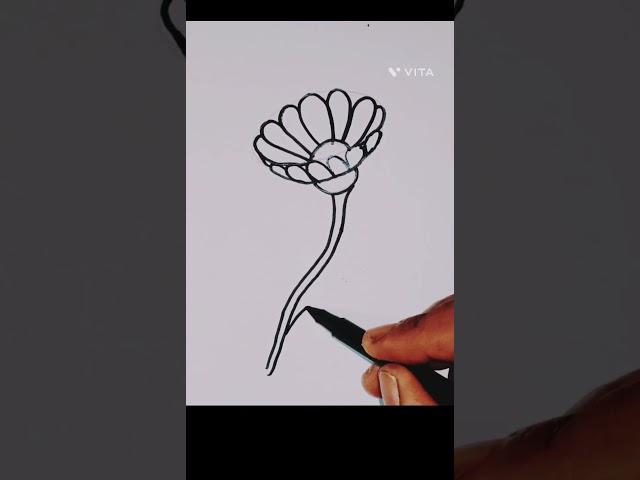 Easy Flower Drawings #howtodraweasy