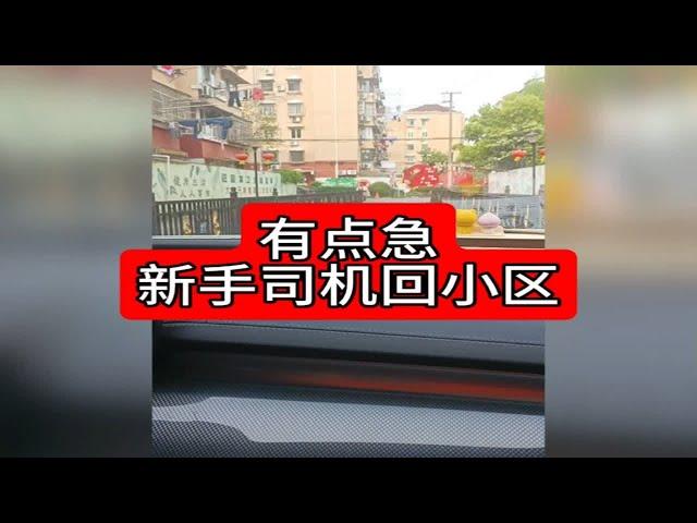 新手司机回小区