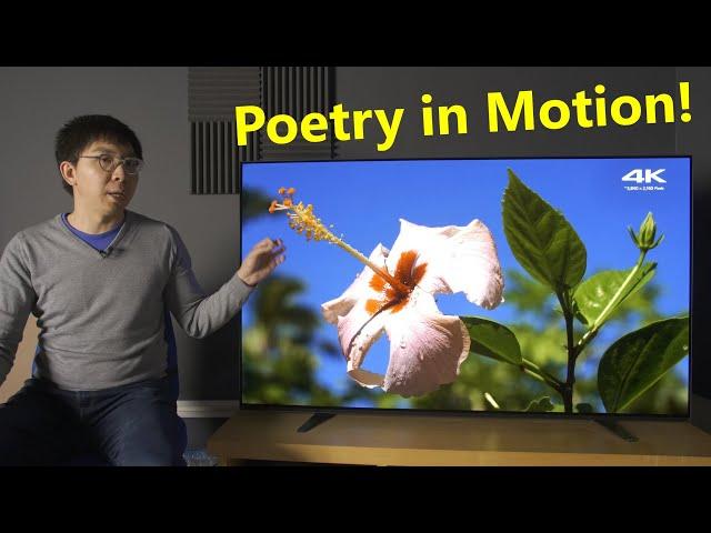 Sony A8 (A8H) 4K OLED TV Review