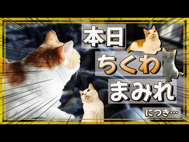 【坂上家】ワシの時代じゃ！山本ちくわの生きる道！！