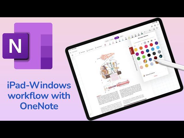 ONENOTE iPad-Windows workflow | DOs & DON’Ts