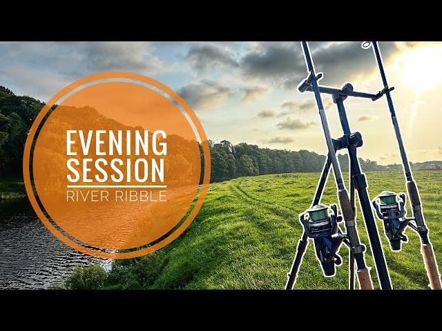 Evening River Feeder Fishing Session | Ribble Free Stretch