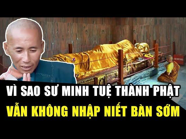 NGHẸN LÒNG lý do SƯ MINH TUỆ thành Phật vẫn không nhập niết bàn sớm: Mục đích quá đỗi cao cả! | HP