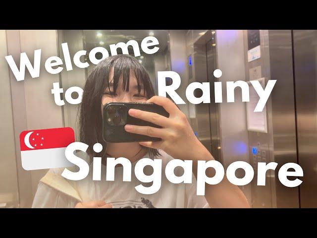 The Last Singapore Vlog in 2024 