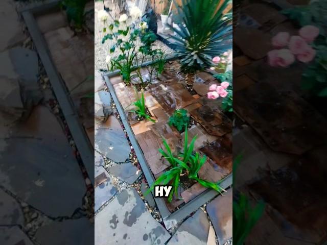 #мульчирование #органическоеземледелие #клумба #дачныйвлог #садовод #дачныеистории #дачныесоветы