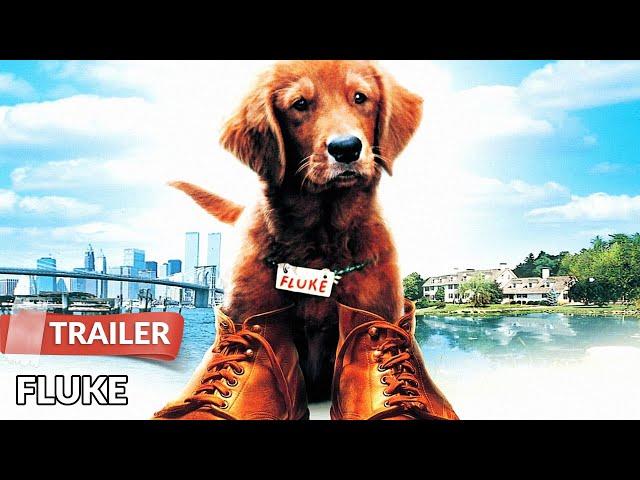 Fluke (1995) Trailer | Matthew Modine | Nancy Travis