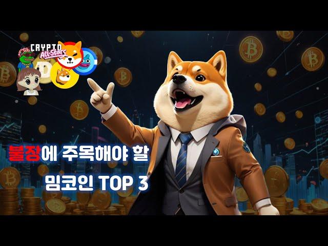 밈코인 째려 볼 타이밍이닷! 불장 대비 반드시 주목해야 할 밈코인 TOP3를 추려 봤습니다