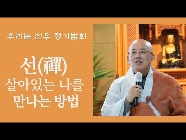 [우리는 선우 정기법회]   선(禪)  살아있는 나를 만나는 방법  (2022년 12월 10일)