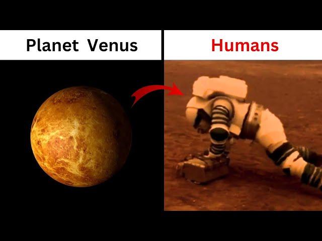 Planet Venus: Story of A Hell Planet | Info Family