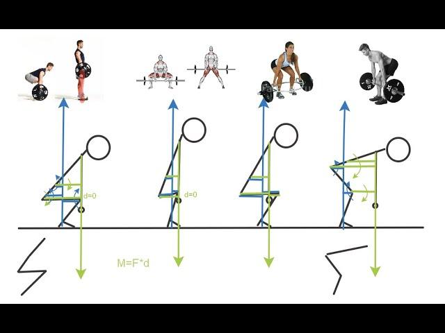 Биомеханика становой тяги: классика, сумо, "трап-штанга", румынская.