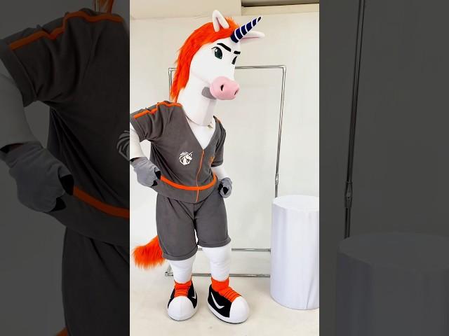 Sporty Unicorn Horse 